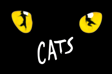 CATS_editorial