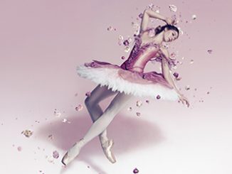 Australian Ballet The Sleeping Beauty Justin Ridler