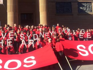 A protest against the SCA closure outside the Art Gallery of New South Wales