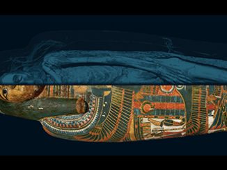 MAAS Egyptian Mummies Temple Singer with scan_© Trustees of the British Museum