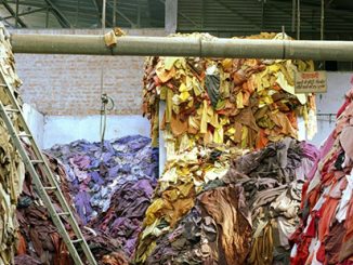 RMIT Fast Fashion Tim Mitchell, Mutilated hosiery sorted by colour, 2005 (detail).jpg