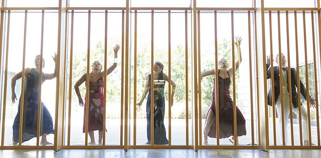 Australian Dance Party In a Flash - photo by Lorna Sim