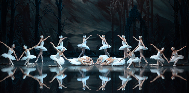 St Petersburg Ballet Theatre Swan Lake Corps de ballet