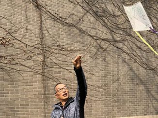 45DS Wang Zheng Ting with kite