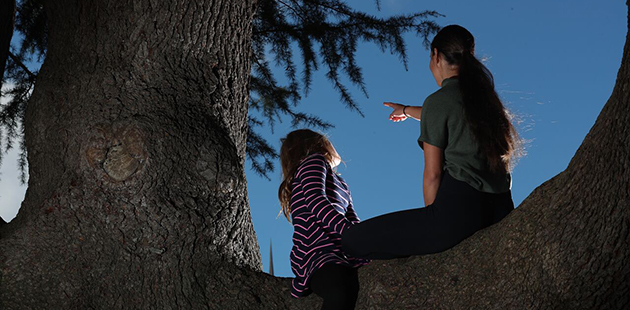 ATYP The Climbing Tree - photo by Phil Blatch