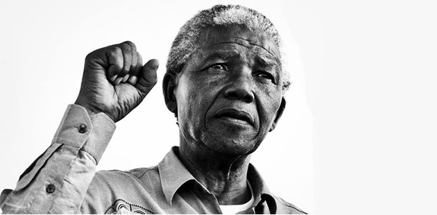 MV Nelson Mandela - photo by Keith Bernstein