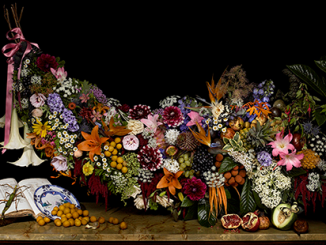 Robyn Stacey, Mr Macleay's fruit and flora, 2008