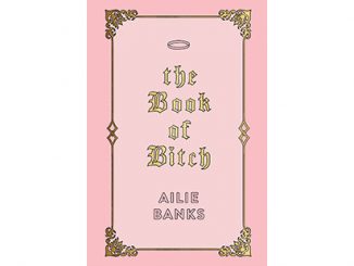 Ailie Banks The Book of Bitch