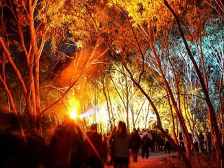 Incite Arts, Unbroken Land, Alice Springs Desert Festival - photo by Oliver Eclipse (courtesy of Australia Council)