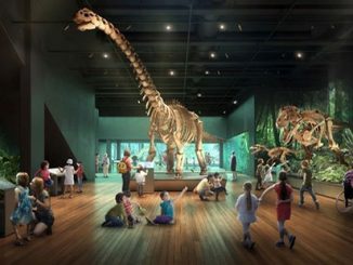 Australian-Museum-(AM)