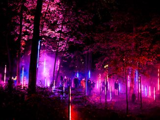 North-Forest-Lights---Created-by-Moment-Factory