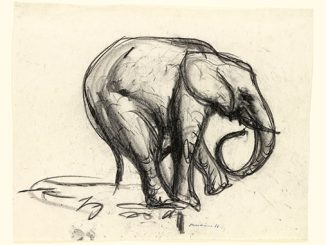 AAR-NGV-Fred-Williams-Elephant-1953