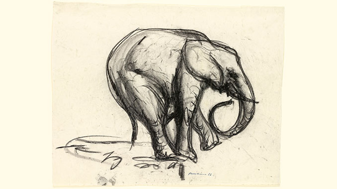 AAR-NGV-Fred-Williams-Elephant-1953