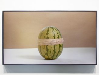 NGV-Installation-view-of-Steve-Carr’s-Watermelon-2015-photo-by-Sean-Fennessy