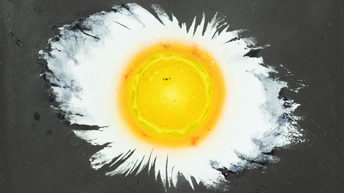 MAAS-Powerhouse-Astronomer’s-direct-drawing-to-astrographic-plate-illustrating-a-solar-corona