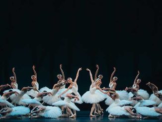 Artists of The Australian Ballet in Swan Lake photo by Kate Longley