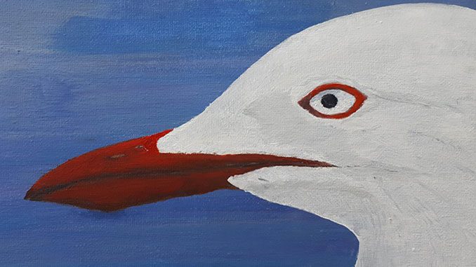 NT The Silver Gull by Michael Tonkin
