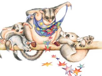 AAR The Australian Ballet School Possum Magic