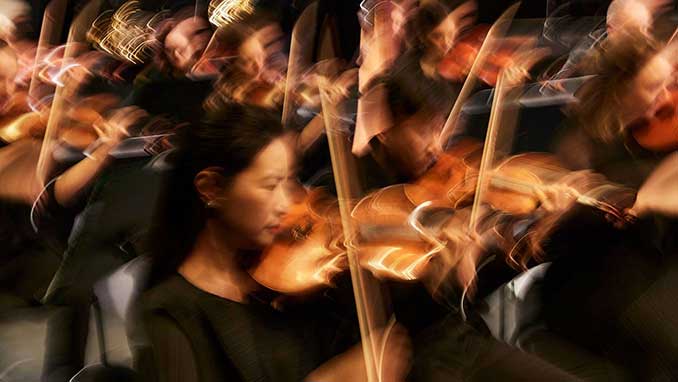Orchestra Victoria Sulki Yu
