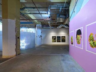 Neoterica-2024-Installation-View-photo-by-Sam-Roberts