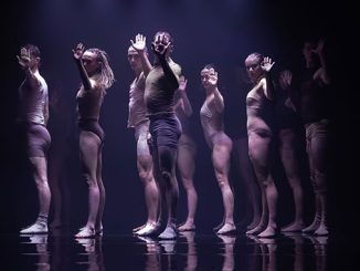 Sydney Dance Company momenta photo by Pedro Grieg