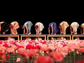AFA Nelken Tanztheater Wuppertal Pina Bausch