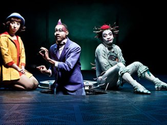 Cirque du Soleil Quidam photo by Matt Beard