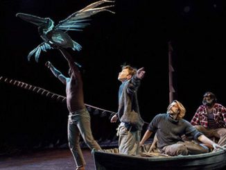 TC BGTC Storm Boy photo by Brett Boardman