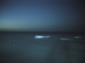 Tim Georgeson Mystique II 2016