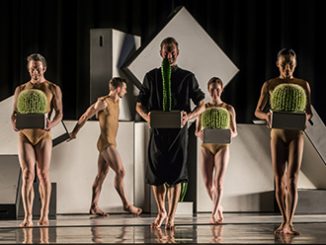 Sydney Dance Company Cacti photo by Peter Greig