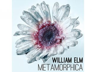 William Elm Metamorphica