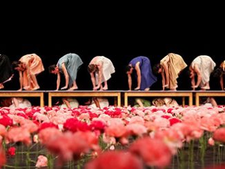 Adelaide Festival 2016 Tanztheater Wuppertal Pina Bausch, Nelken