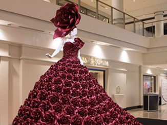 Zie Bradley The Red Rose Dress Chatswood Chase Sydney