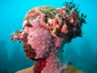 Jason deCaires Taylor, Vicissitudes 2001 (detail)