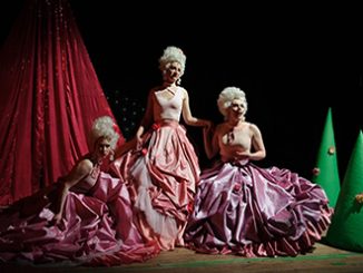 LadyCake - photo by Sarah Walker
