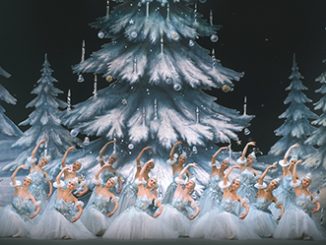 STPB The Nutcracker 2nd Act - photo by V. Zenzinov