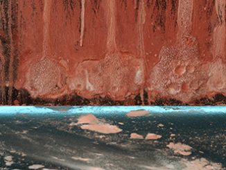Robert Andrew, Information Transfer 2 (detail), 2015, ochres, oxides and chalk on board. Courtesy of the Artist