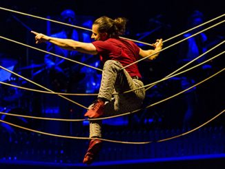 Circus Oz 2017 Model Citizens Alex Weibel - photo by Rob Blackburn