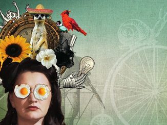 Sydney Fringe Comedy Menagerie Josipa Draisma