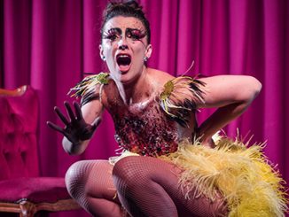 Karla Hillam Ugly Duckling