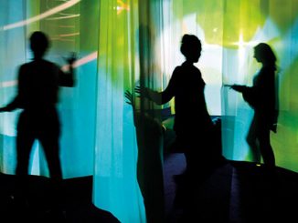 MCA Pipilotti Rist Administrating Eternity 2011