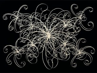 Stieg Persson, Middle Management 2003