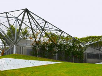 Waterloo Youth and Community Centre