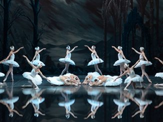 St Petersburg Ballet Theatre Swan Lake Corps de ballet