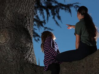 ATYP The Climbing Tree - photo by Phil Blatch
