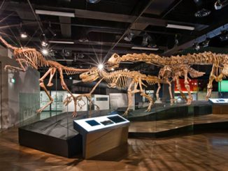 Melbourne Museum