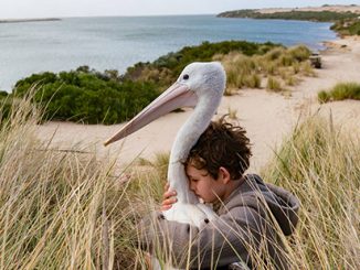 Finn Little and Mr Percival in Storm Boy