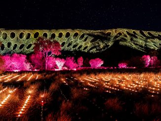 Parrtjima festival, Desert Park, Alice springs, Australia - photo by James Horan