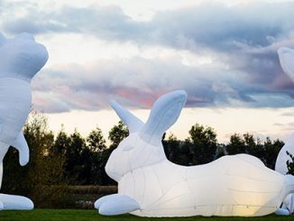 Bunjil Place Amanda Parer Intrude