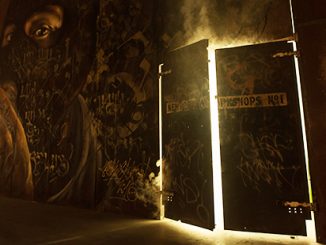 CDT The Facility - photo by Alex Jovanovic_Artist Mayonaize and Camscale